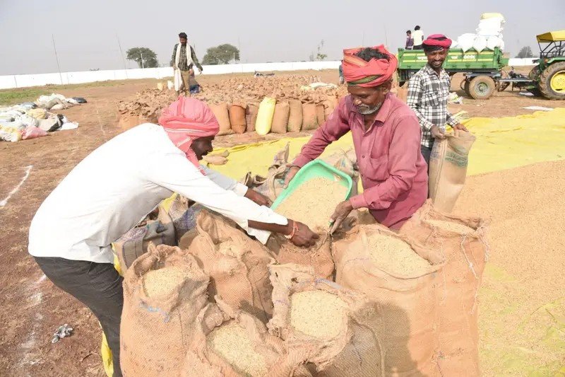 **दुर्ग जिले में धान खरीदी जोर पर, पहले दिन 3922 किसानों से 19,778 टन से अधिक उपार्जन**