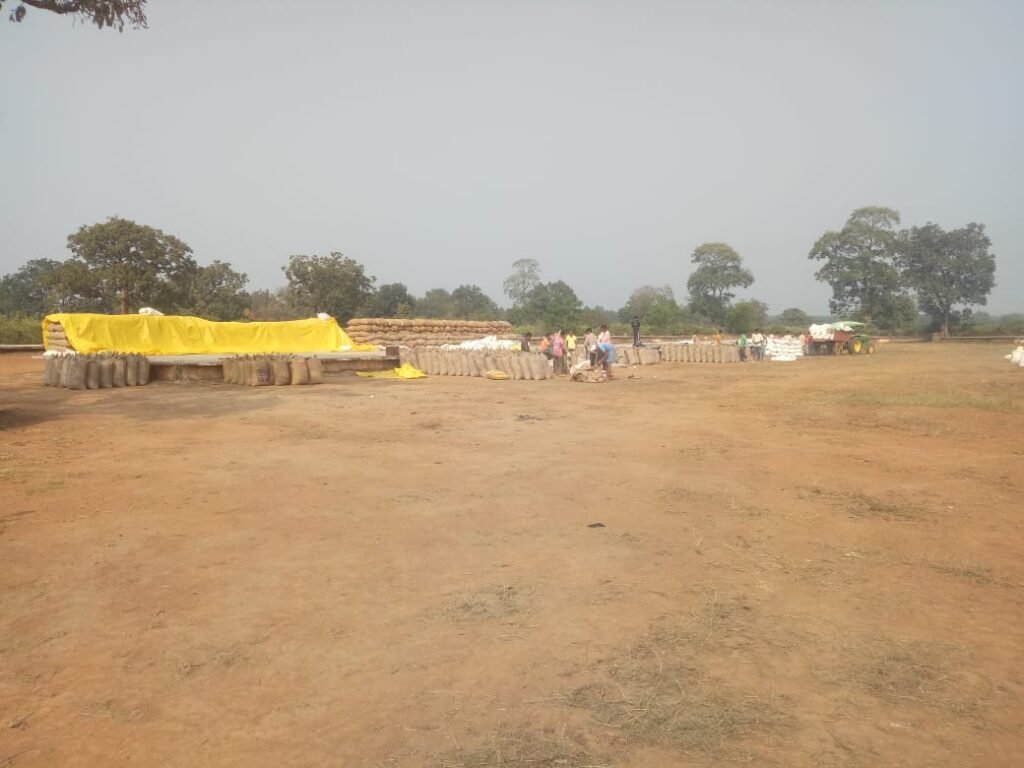 *धान खरीदी सुचारू रूप से जारी, किसानों में खुशी की लहर 5 दिन में 1 हजार किवंटल के पार* = करपावंड लेंपस में सुचारु व्यवस्था के बीच खरीदी =