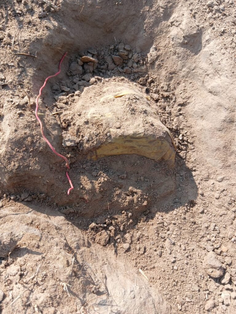 *10 किलो का आईईडी बरामद, किया गया नष्ट*