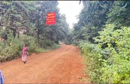 जशपुर में लोनर हाथियों का आतंक, वन विभाग अलर्ट हाथी दिखते ही वन अमले को सूचना दें, दो ग्रामीण गंभीर घायल