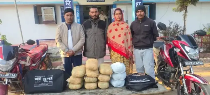 बिलासपुर में गांजा तस्करी के अंतरराज्यीय नेटवर्क का भंडाफोड़, चार आरोपी गिरफ्तार