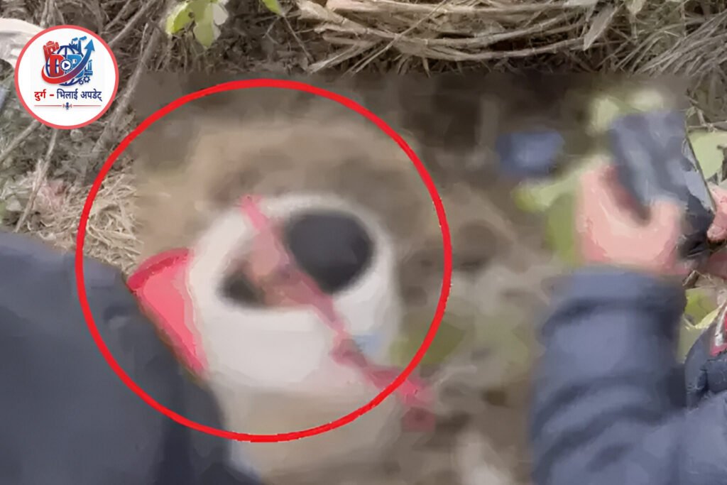 लुधियाना में दिल दहला देने वाली वारदात: ड्रम में मिले युवक के कटे हुए शव के टुकड़े, दोस्त पर हत्या का शक