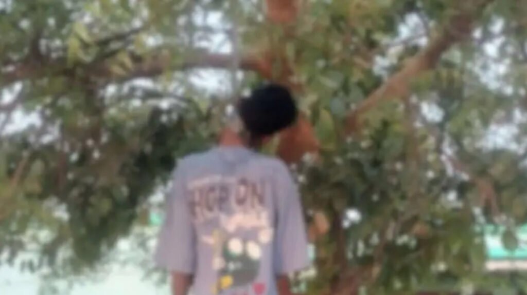 (गरियाबंद) स्कूल के सामने पेड़ पर लटका मिला युवक का शव, इलाके में फैली सनसनी